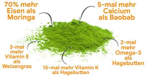Immunbooster & Superfood