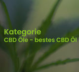 CBD Oil 5% Full Spectrum – 8ml (auch 10% ist erhältlich)