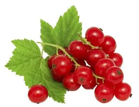 Johannisbeeren rot 250g