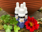 1x 10ml 24-Kräuter-Öl - Aromatherapie aus regionaler Manufaktur